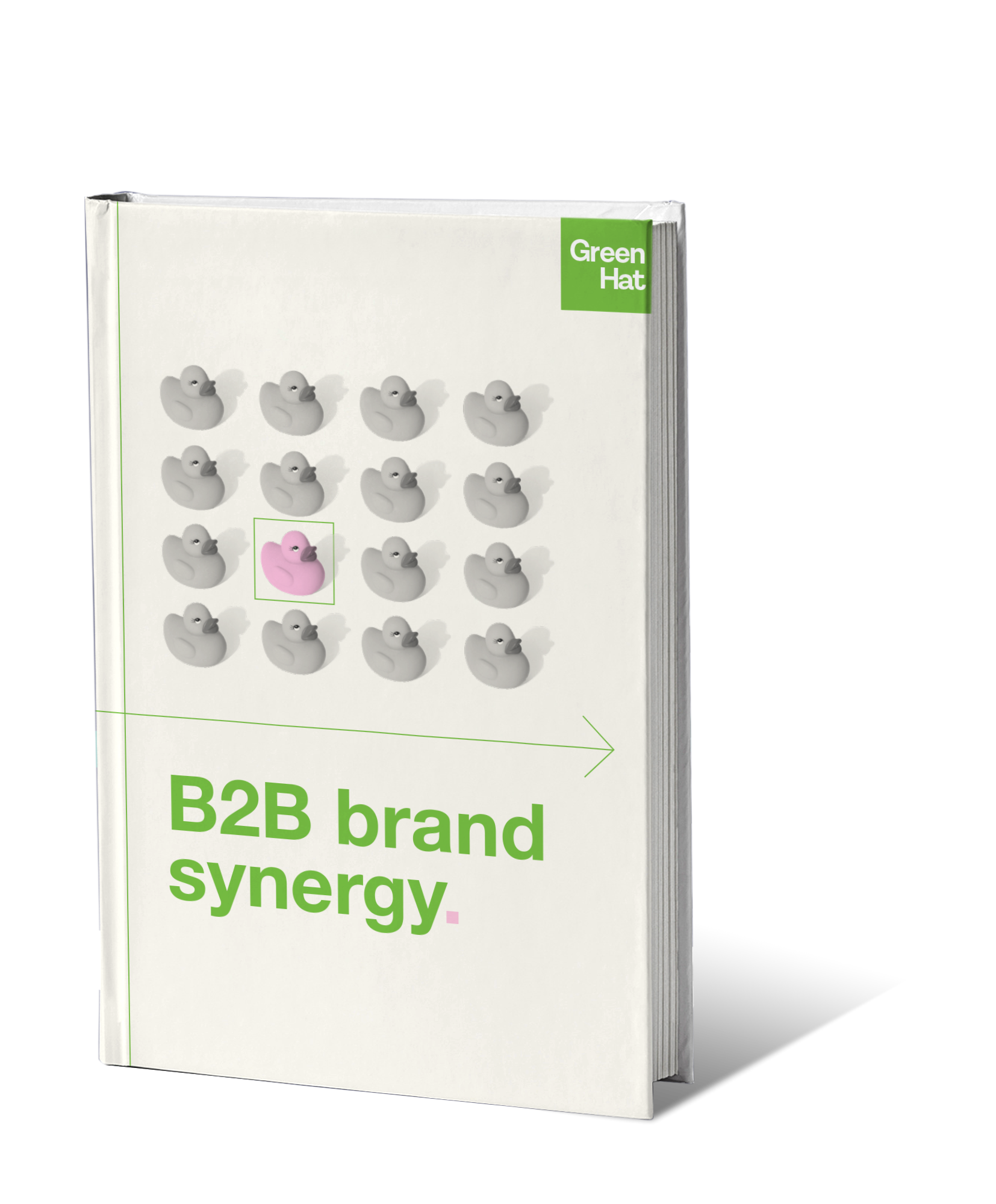 B2B Brand Synergy Ebook Mockup