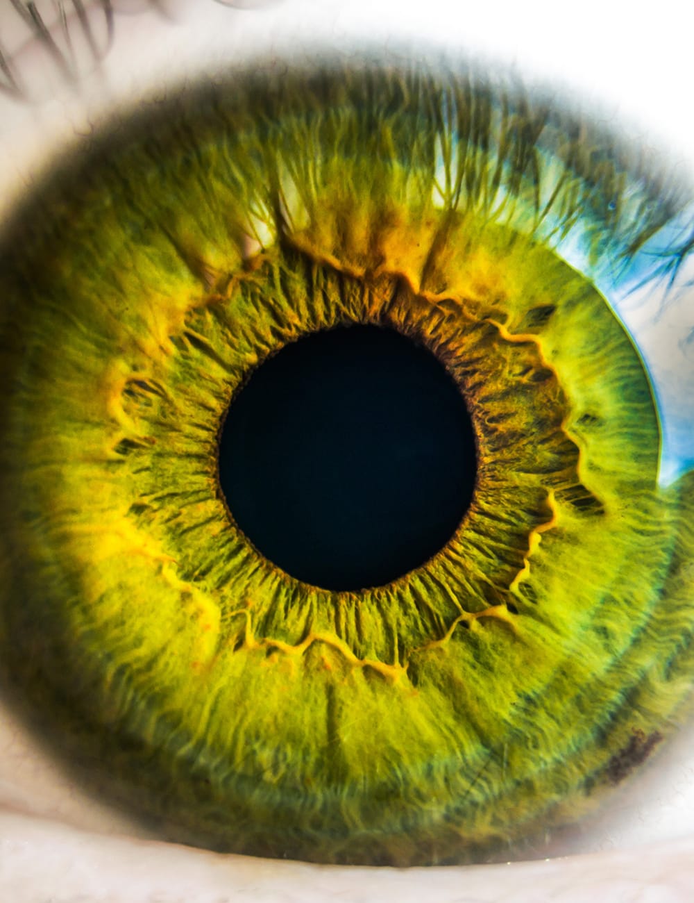 How often do you eyeball your B2B brand?